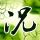 顶级厨师